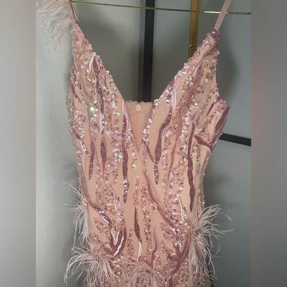 Pink Mini Dress, Feathers and Sequins - Picture 4 of 6